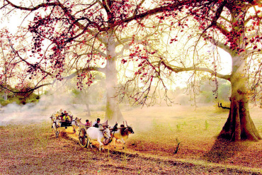 စရာဲက္ညၚ်